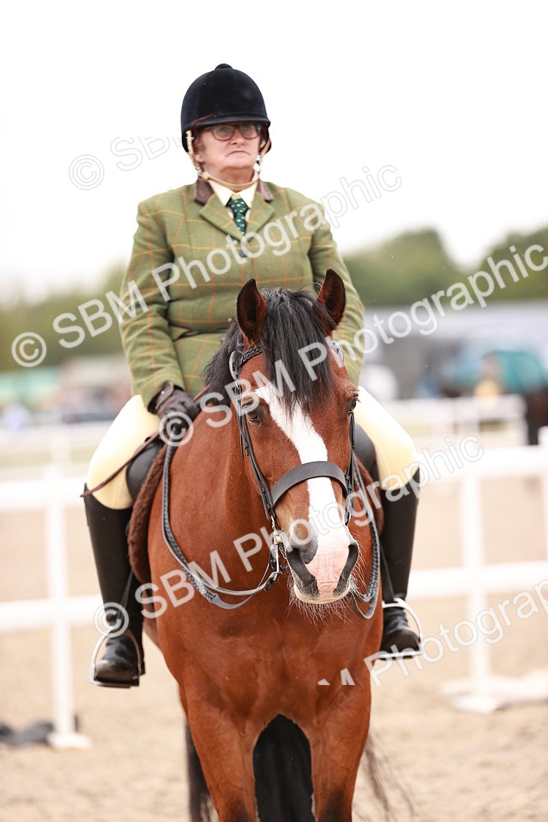 SBM_19040 - Class 422 - Ridden M&M