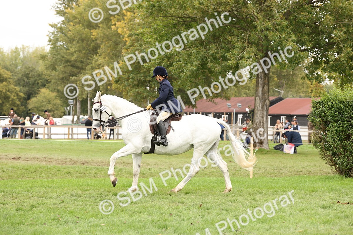 SBM_64258 - S65 - Riding Horse & Hack & Thoroughbred Ridden