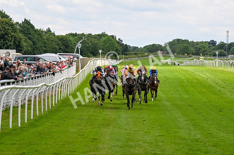 180624-Race 3-High Opinion-0276 - Race 3