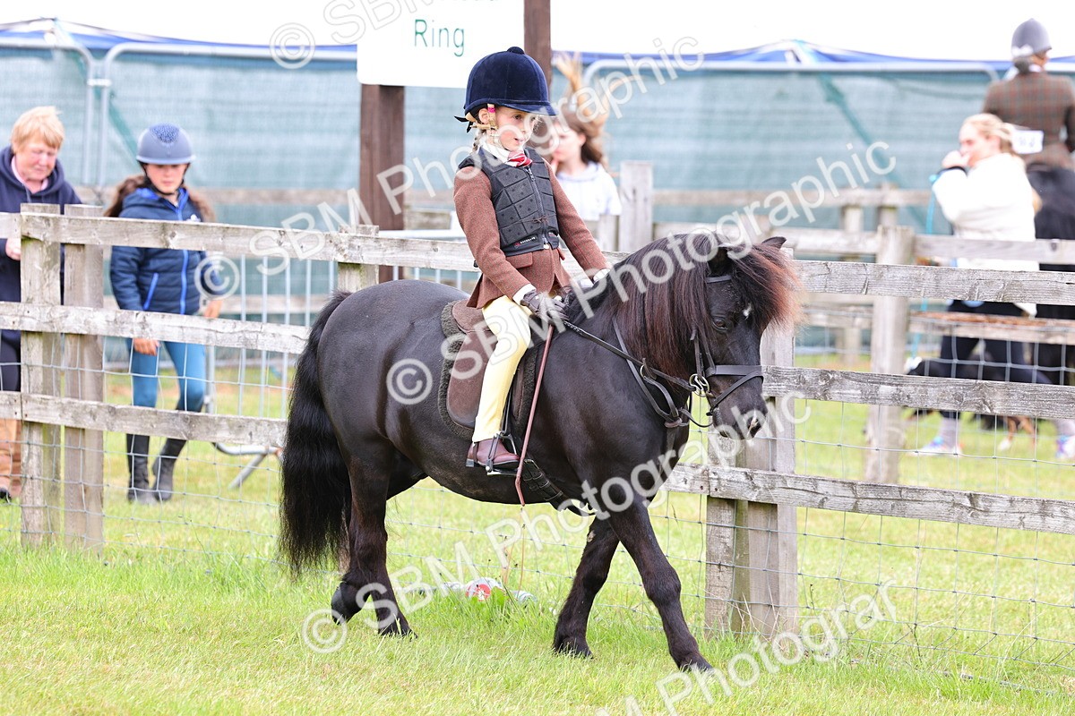 SBM_08424 - Class 42-43 - LIHS BSPS Heritage Working Sports Pony
