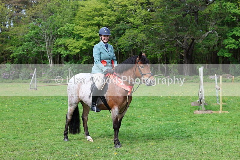 3E7A2749 - Working Hunter Championship