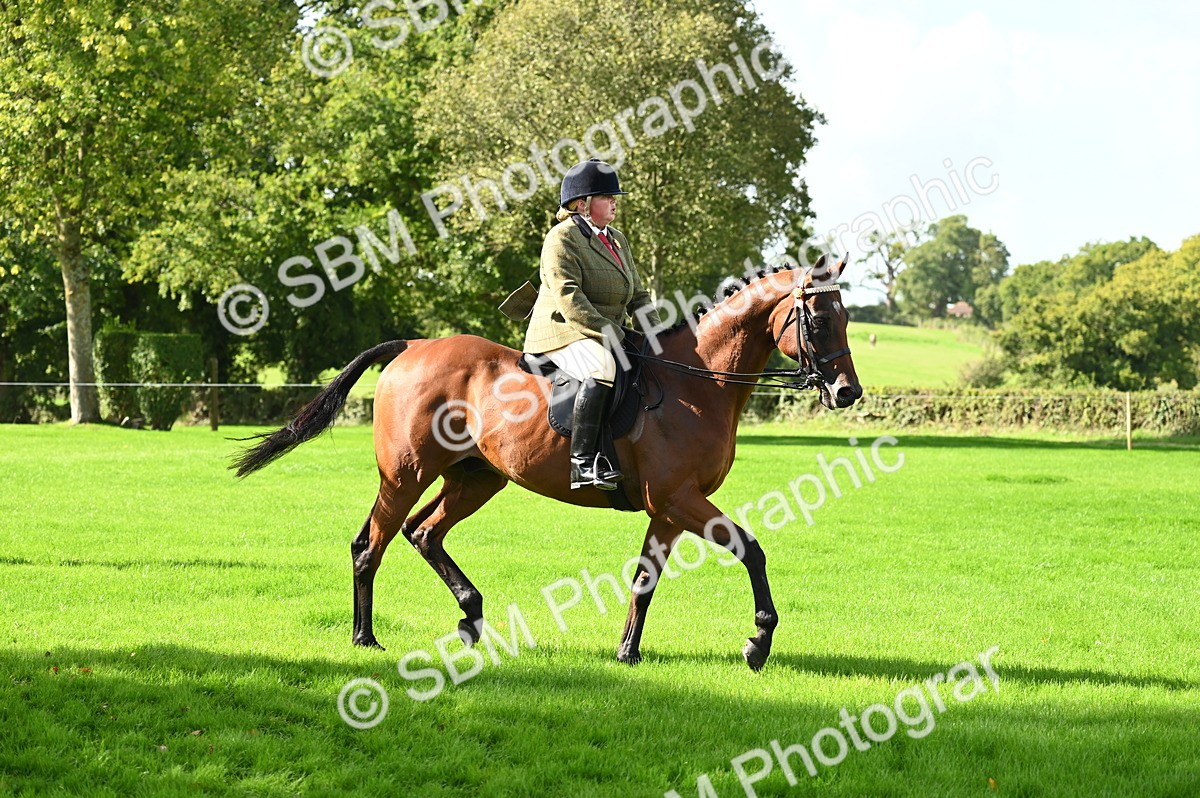 SBM_01485 - S2 - TSR Ridden Horse Showing