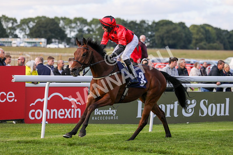 180624-Race 3-Sunny Orange-7873 - Race 3