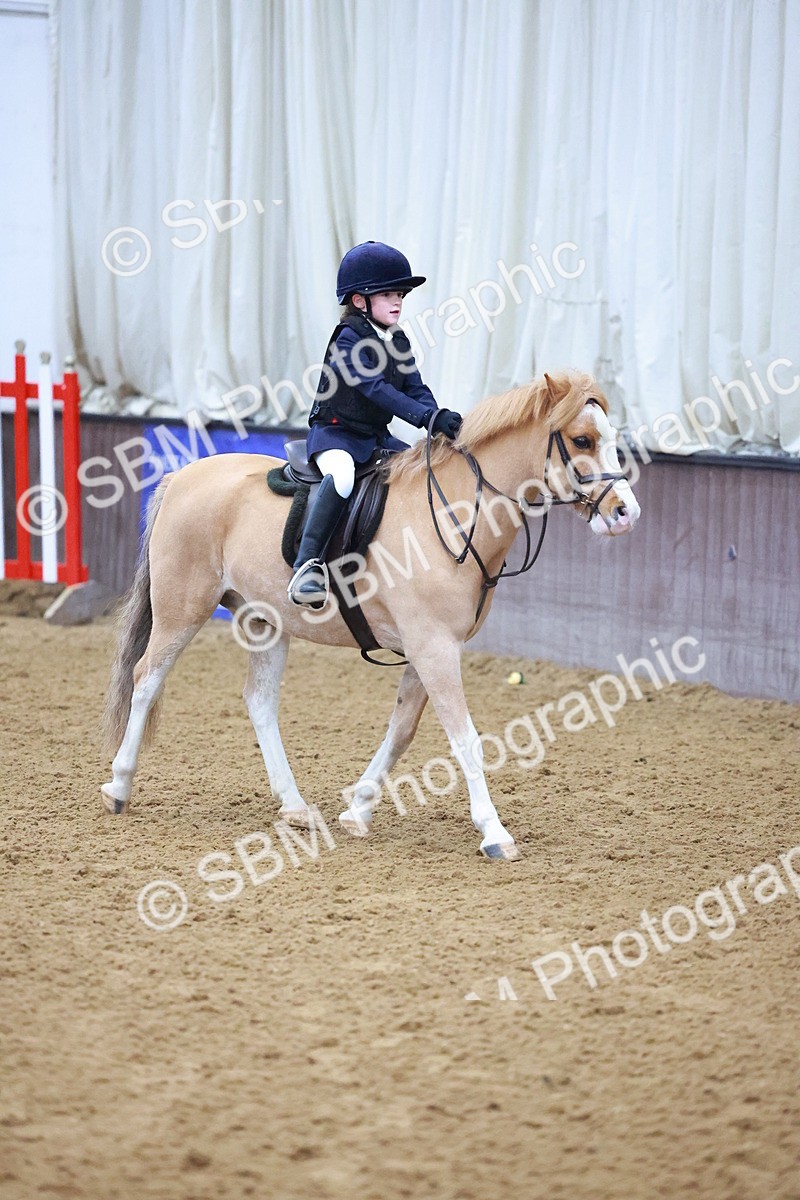 SBM_000305 - Class 19 - 50cm