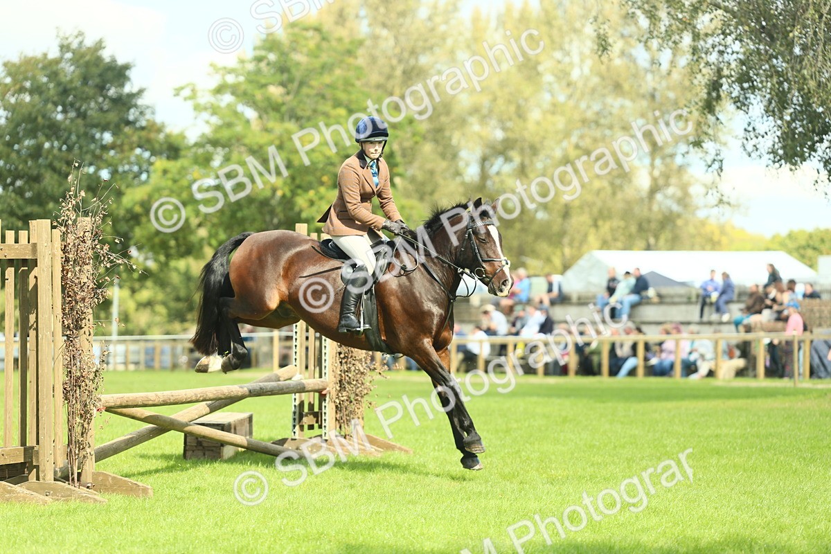 SBM_42999 - S30 - M&M Working hunter Pony