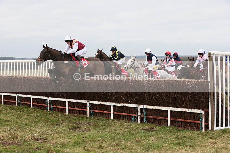 PtP 060119 108 - Larkhill Racing Club - Point-to-Point- 06/01/2019