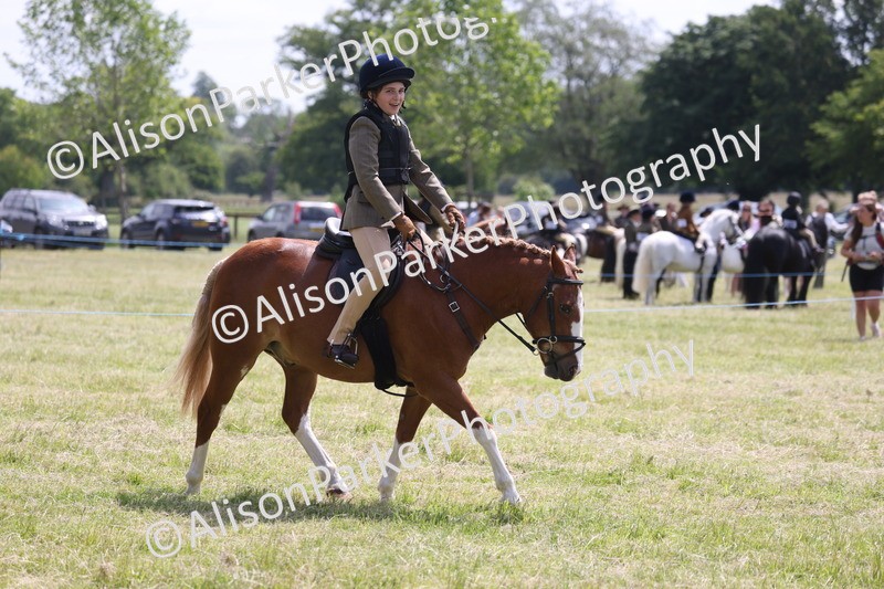 20260614-1947 - Class 21 - Novice Working Hunter Pony