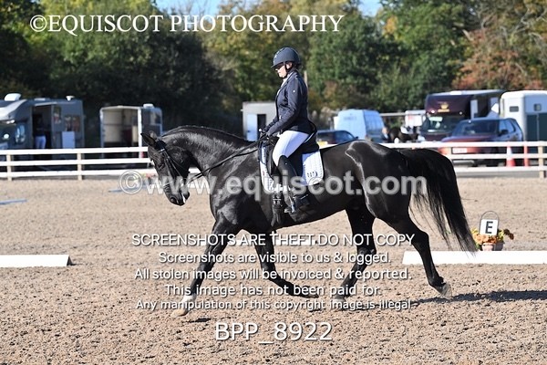 BPP_8922 - LONG ARENA