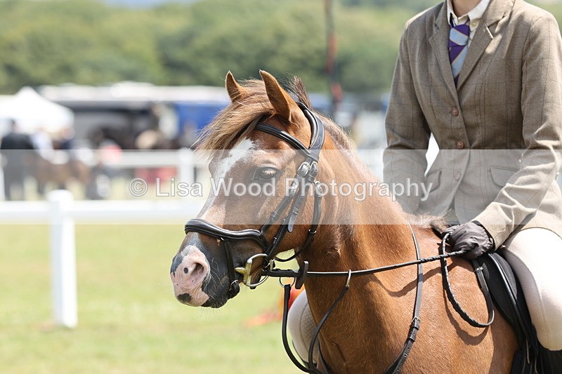 JPP_1872 - Class 18: Tiny Tots Working Hunter Pony