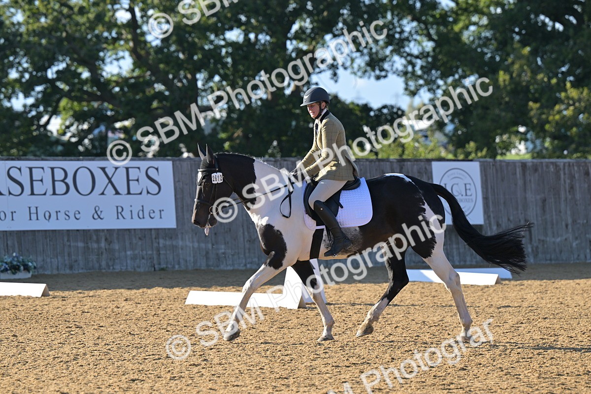 SBM_13062 - D3 - Small Tour Championship Intro 3