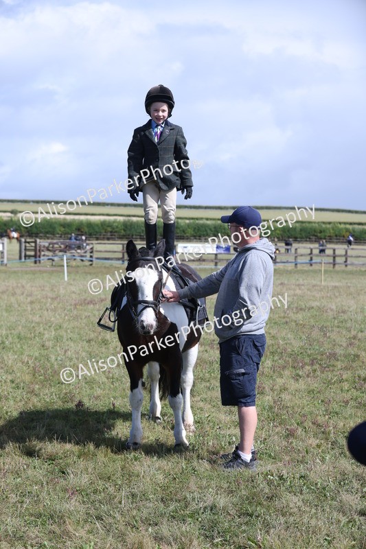 20250831-2496 - Class 16 - Family Pony