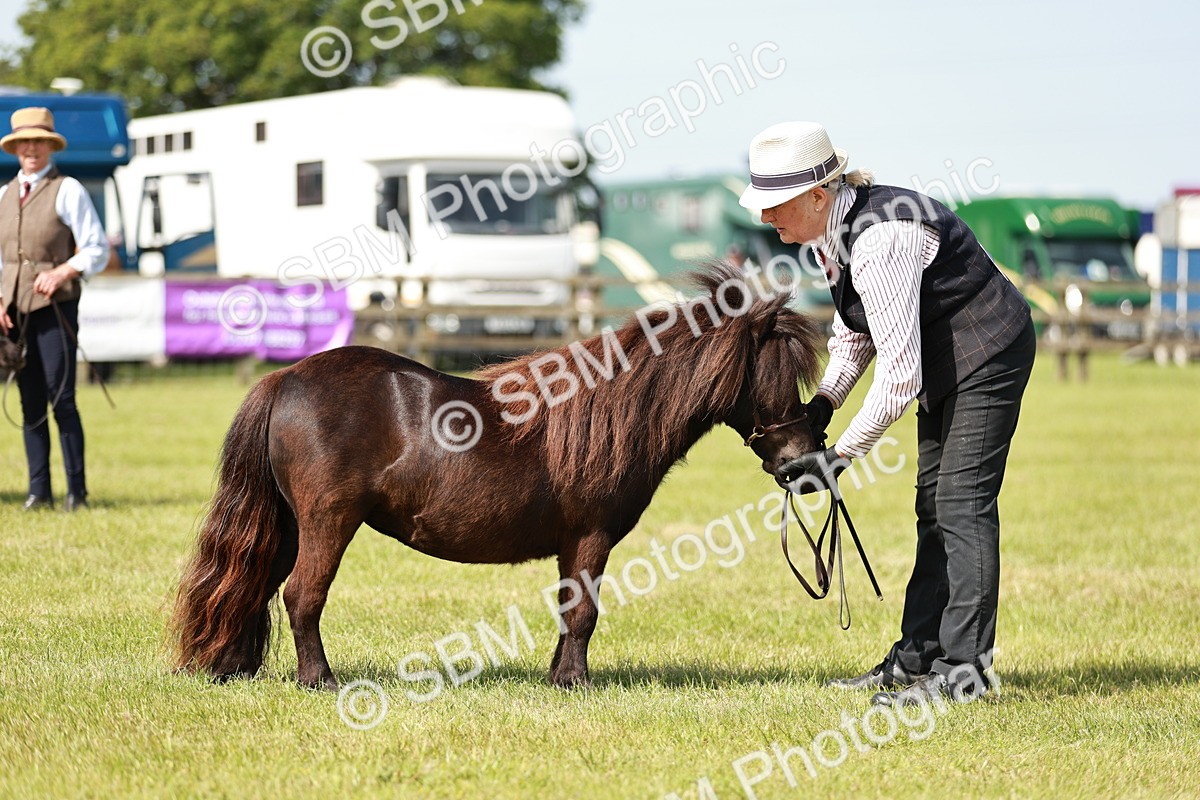 SBM_01907 - Class 14-23 - Mountain & Moorland In Hand Non Welsh