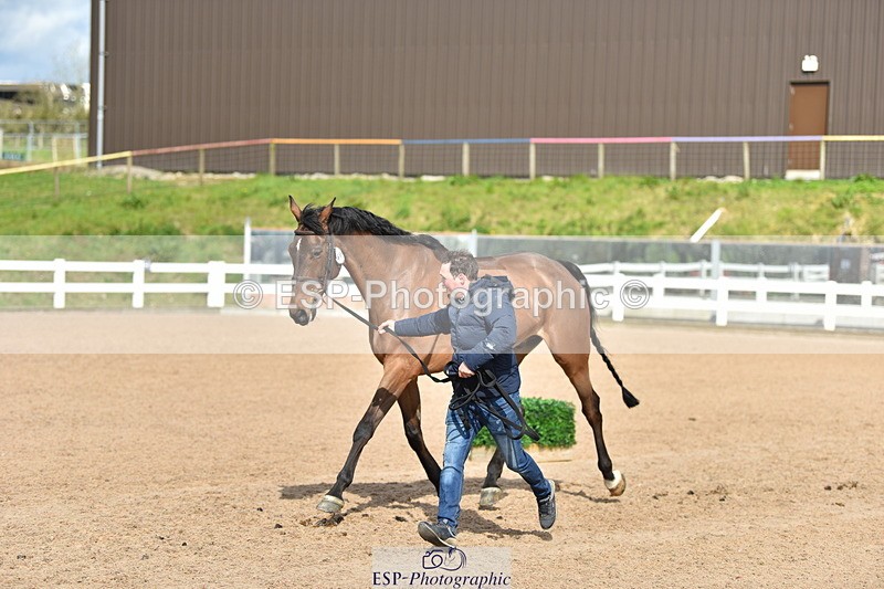 240417A-155608-01034 - 3pm to 4pm