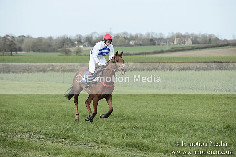 PtP 230319 377 - VWH Hunt Siddington Point-to-Point Racing 23/03/19