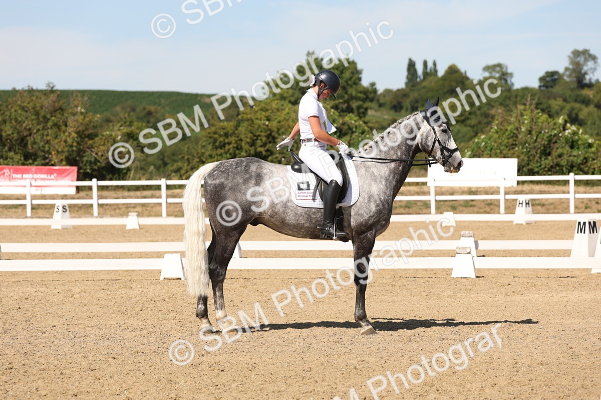 SBM_003653 - Elementary 4