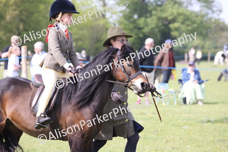 20260426-2471 - Class 31 - Leading Rein