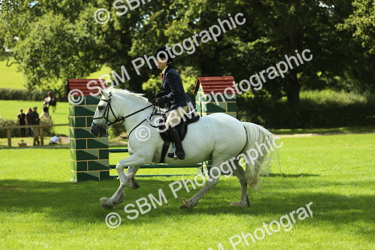SBM_42934 - S30 - M&M Working hunter Pony