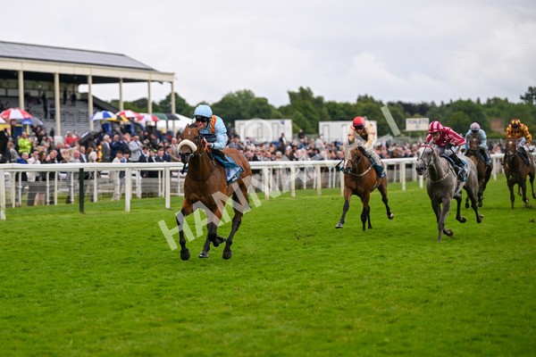 150624-Race 5-The Strikin Viking-7650 - Race 5 4.10pm Reg Griffin Appreciation ebfstallions.com Maiden Stakes