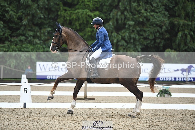 240720-143641-05718 - 142-Amberley_Pugsley-Hero_A
