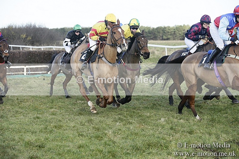 PtP 070118 -255 - Larkhill Racing Club Point to Point Larkhill 07/01/2018