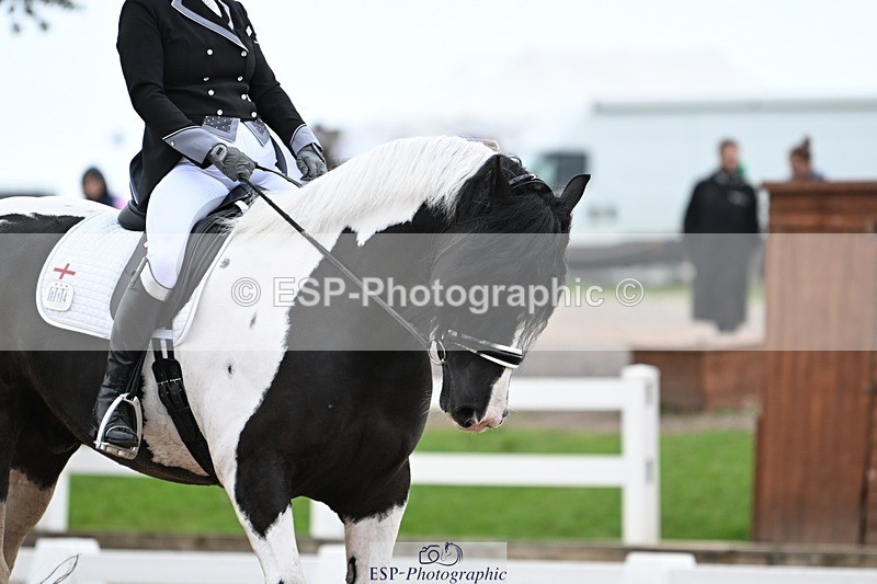 250907-141023-09185 - 014-Katrina.EllisSilverstor.IV