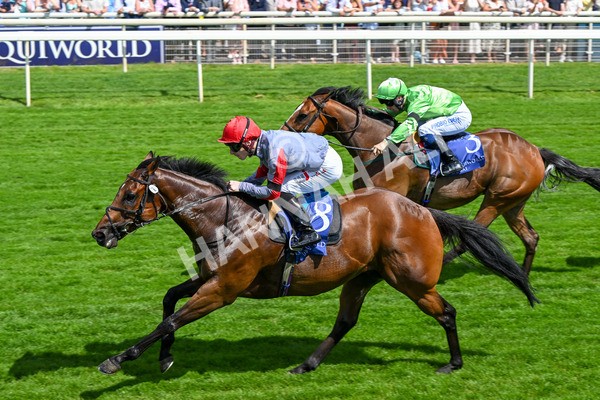 280625-Race 3-Squealer-0257 - Race 3 3.00pm Al Basti Equiworld Dubai Dash Handicap