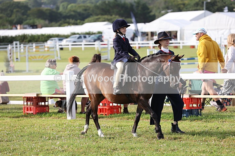 JPP_0173 - Class 14: Cornish Combination Leading Rein