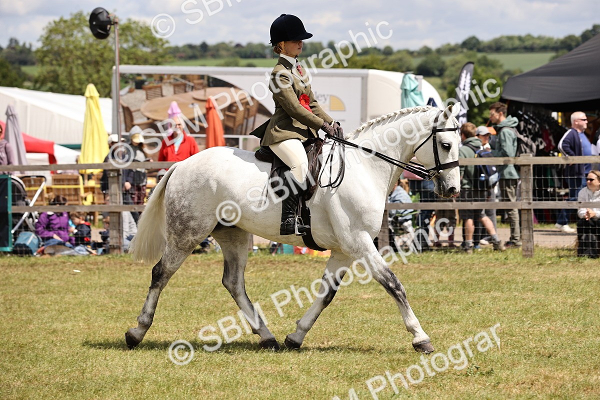 SBM_14784 - Class 88-89 - LIHS BSHA Rising Star of Ridden Hunter Type