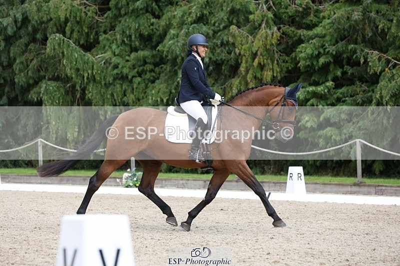 230812-150209-05031 - Cls 5 Novice Bronze 15.00 to End