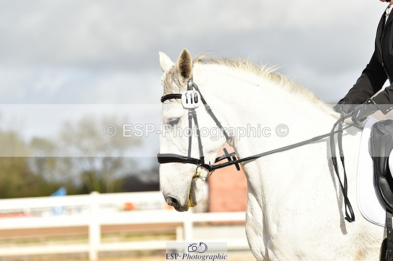 231104A-114924-01606 - Cls 5 Novice 37A