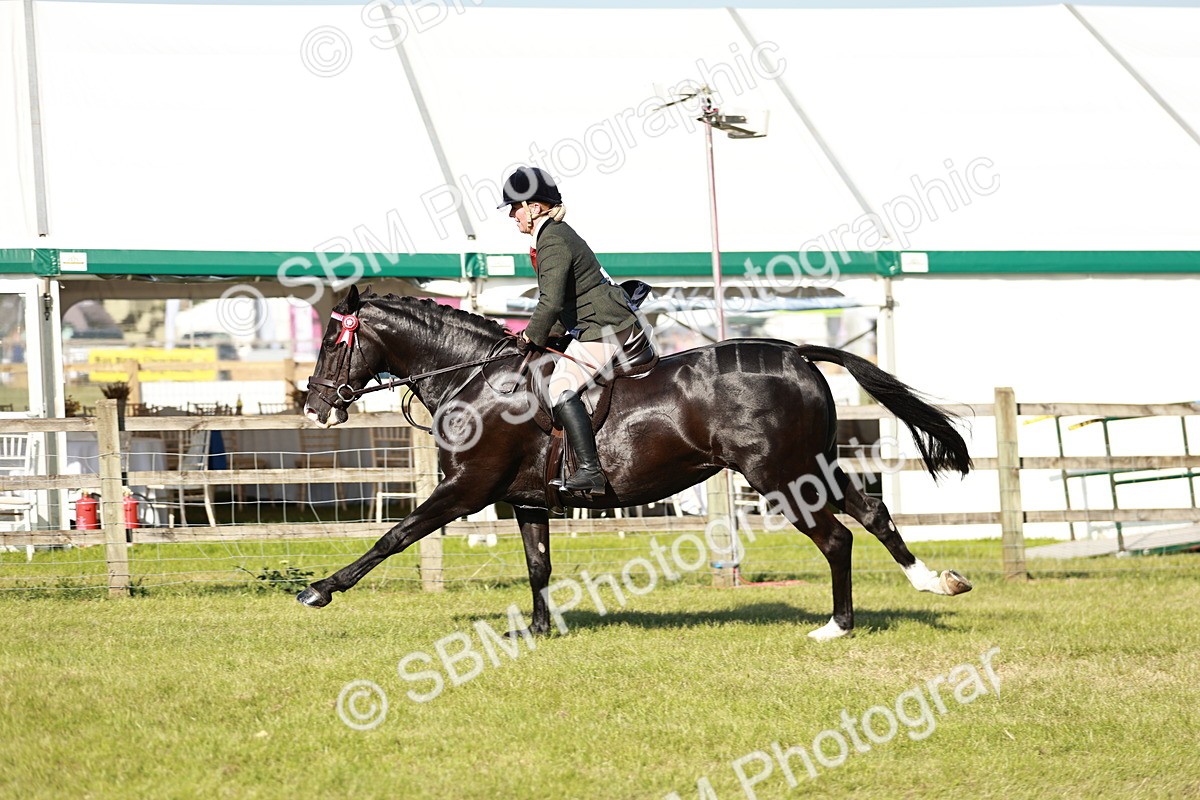 SBM_19255 - Class 115-116 - LIHS BSHA Rising Star Working Hunter & Show Horse