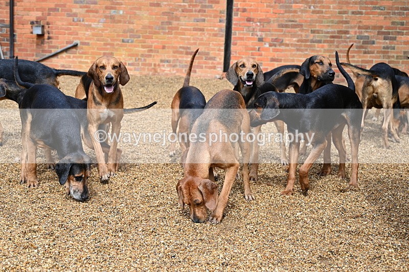 WJ7_7004 - Berks & Bucks at Blandy’s Farm 31-08-25