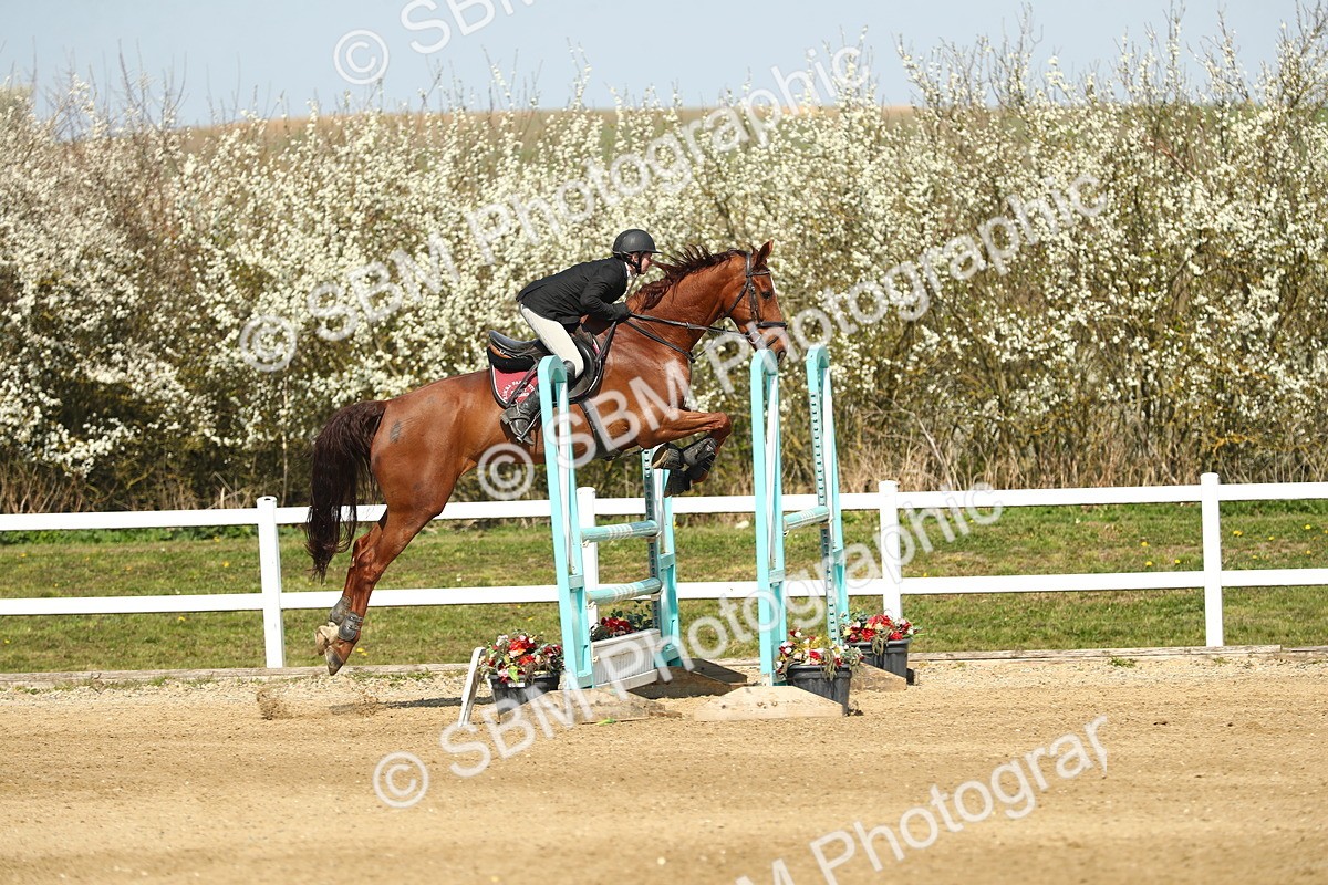 SBM_002710 - Class 11 - Senior Foxhunter - 1.20m