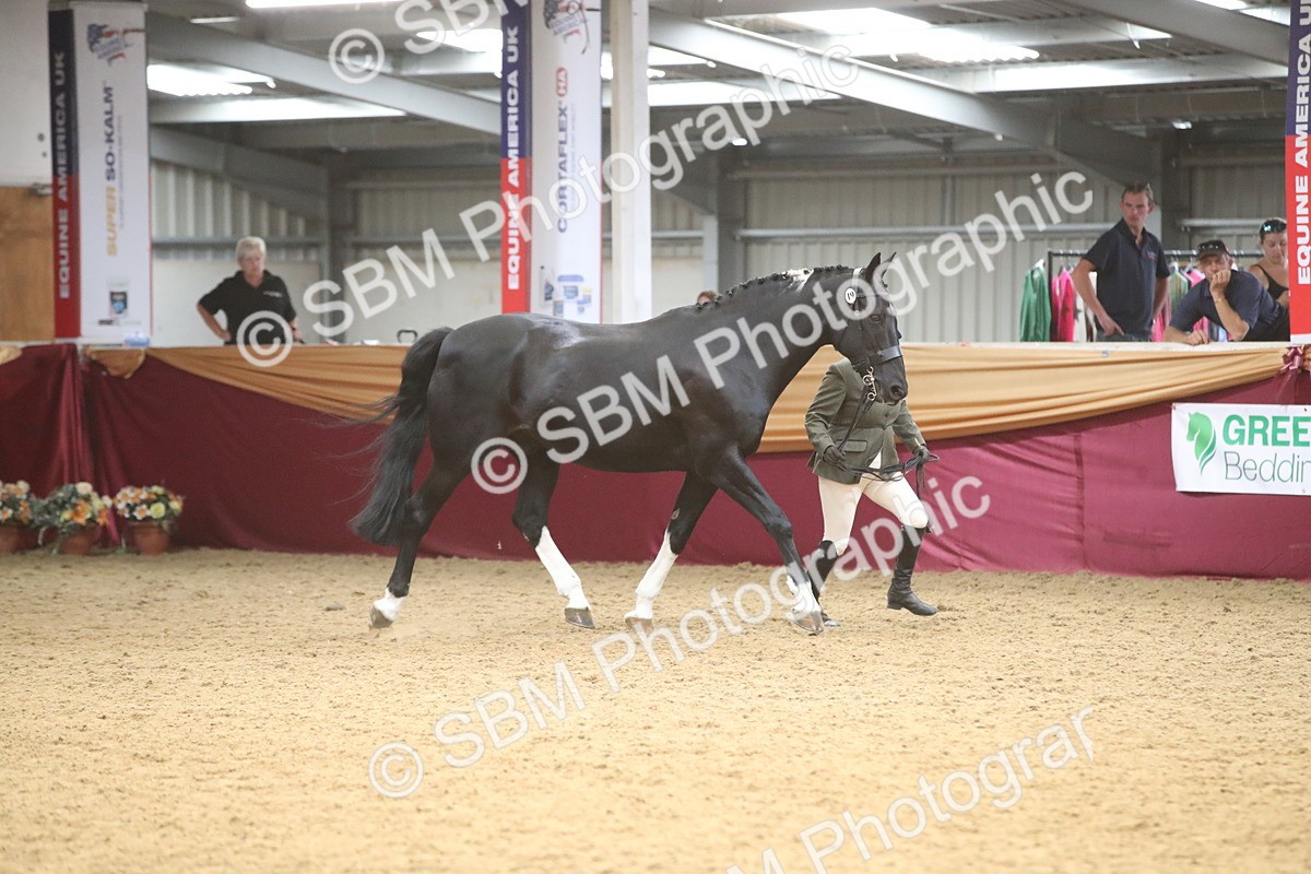 SBM_05684 - Class 9R - Regional IH Pre-Vet