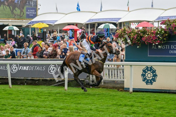 080924-Pony Race-8496 - Pony Race 1.00pm The Dragon (TV and Film) Studios Pony Race 148cm & Under