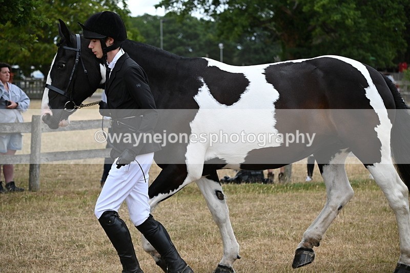 WJ6_8223 - Class 10 Coloured in Hand