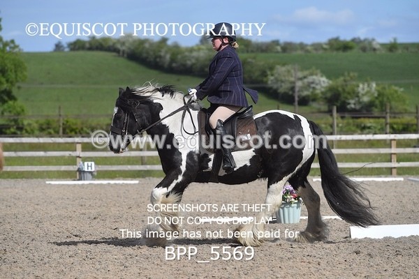 BPP_5569 - 4 L DENHOLM