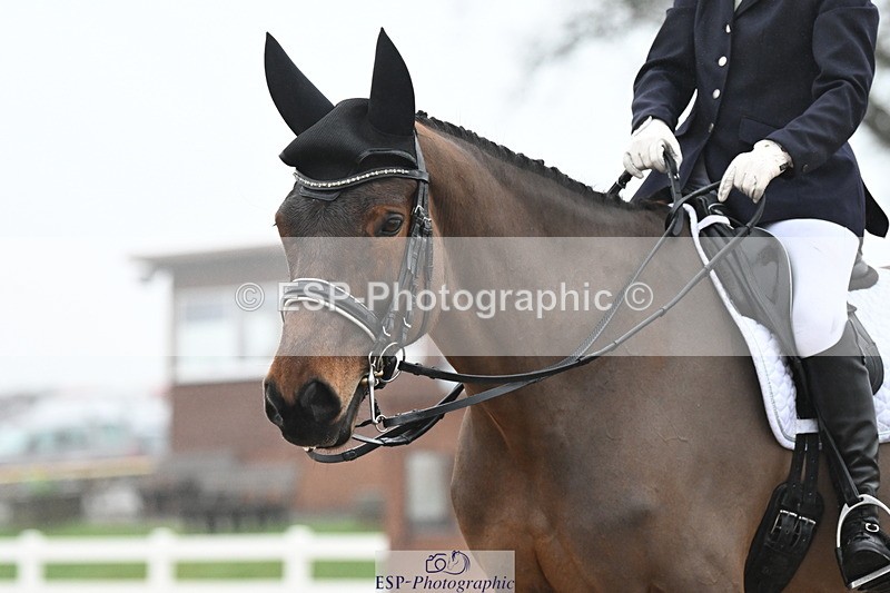 240217A-145548-03760 - 252-Kathryn.Little-Quietly.Does.It