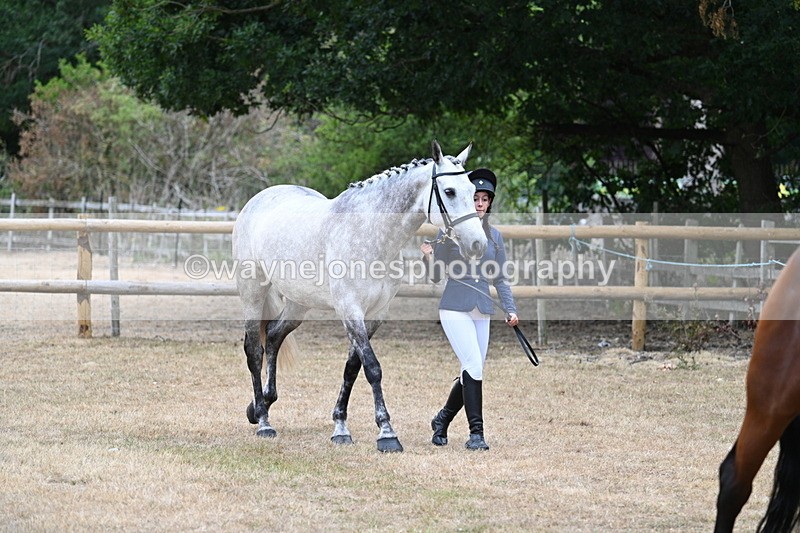 WJ7_8635 - Class 4a Prettiest Mare 14.2hh and over