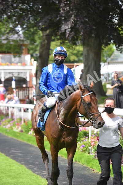 yr10072021r2-30 - Race 2: 2.20pm John Smith's Silver Cup Stakes