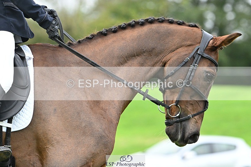 241024-103120-03041 - 411-Madeleine.Loweth-BENJAMIN.BRITTEN