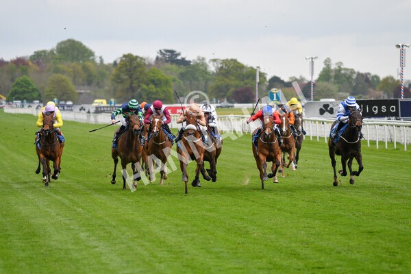 yr14052021r1-8 - Race 1 1.40pm Langleys Solicitors British EBF Marygate Fillies' Stakes