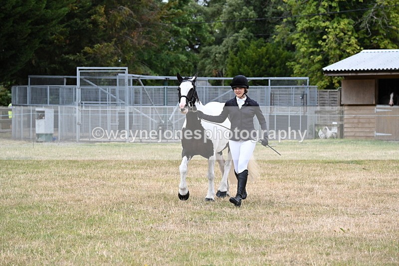 WJ6_4250 - Class 10 Coloured In-hand
