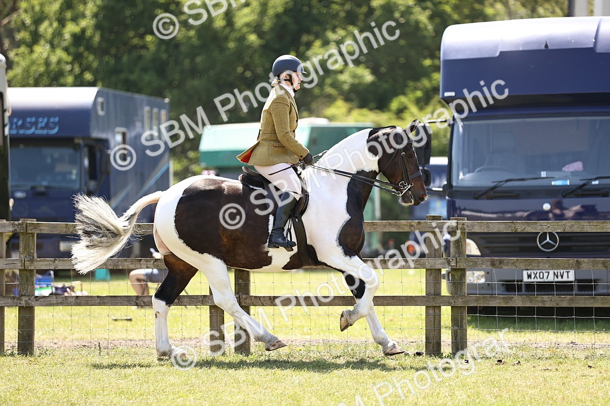 SBM_17831 - Class 81-83 - TSR Ridden Amateur of the Year - Horses