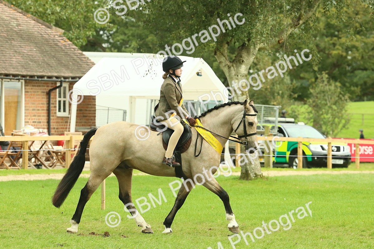 SBM_74990 - Ridden Pony Supreme Championship