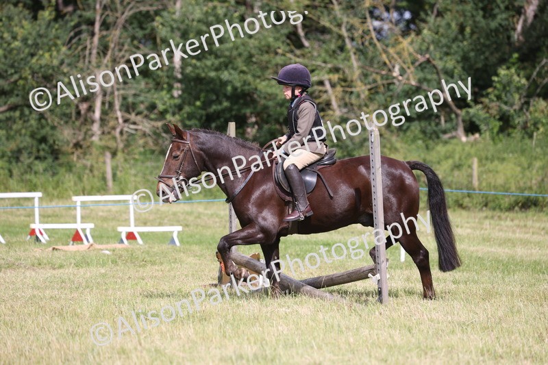 20260614-0521 - Class 20 - Beginners Working Hunter Pony