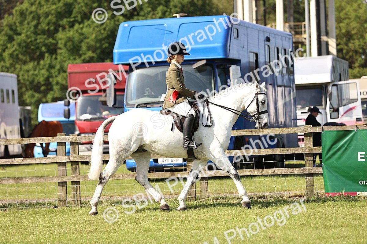 SBM_12502 - Class 73-74 - LIHS BSHA Open Style & Performance