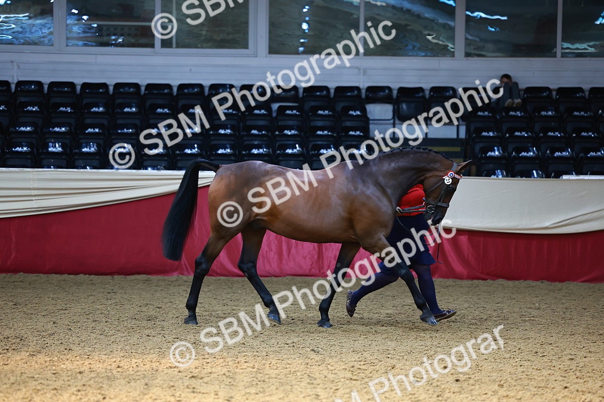 SBM_22330 - Class 902 - Supreme Final - IH Diamond