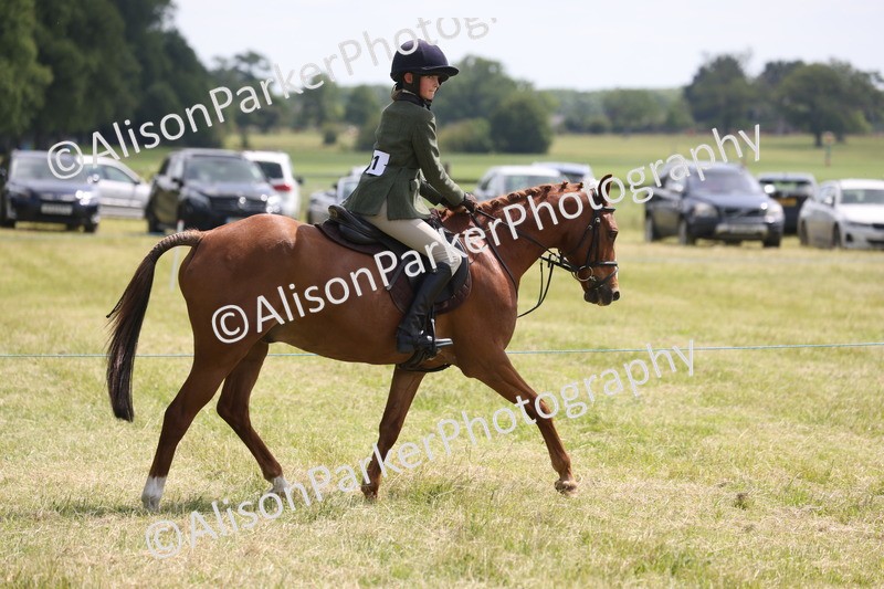 20260614-1866 - Class 21 - Novice Working Hunter Pony