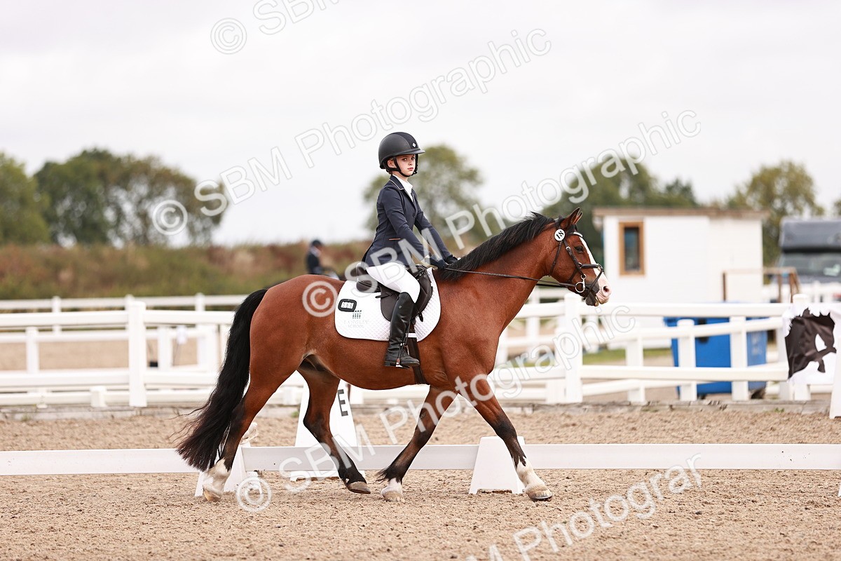 SBM_02446 - Class 35 - Intro 3